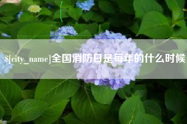 全国消防日是每年的什么时候
