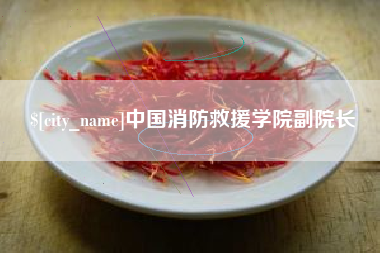 中国消防救援学院副院长