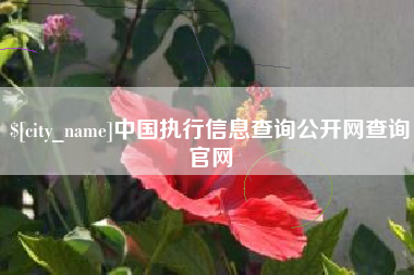 中国执行信息查询公开网查询官网