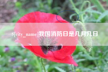 我国消防日是几月几日