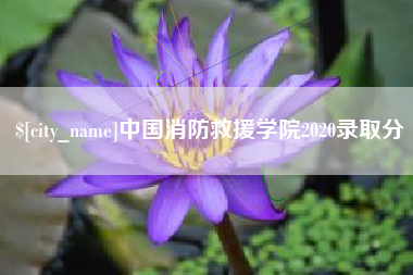 中国消防救援学院2020录取分