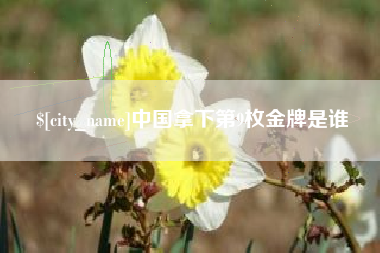 中国拿下第9枚金牌是谁