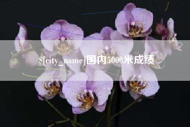 国内5000米成绩