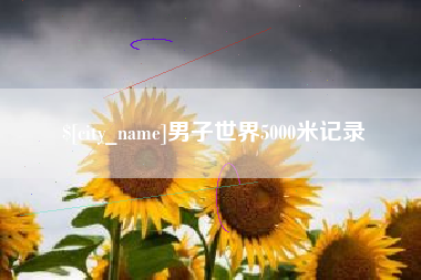 男子世界5000米记录