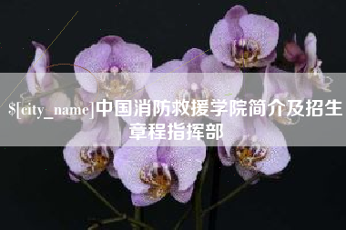 中国消防救援学院简介及招生章程指挥部
