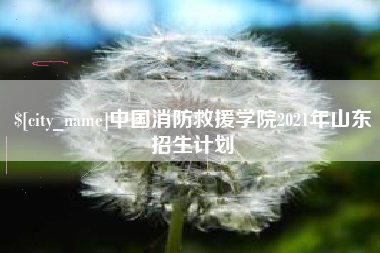 中国消防救援学院2021年山东招生计划