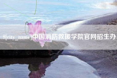 中国消防救援学院官网招生办