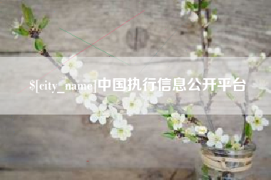中国执行信息公开平台