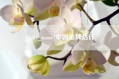 中国金牌估计
