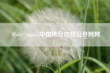中国执行信息公开网网