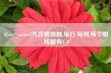 九宫格规则,每行,每列,每个粗线都有1-9