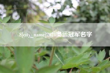 2024奥运冠军名字