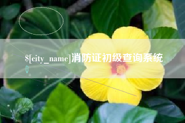 消防证初级查询系统