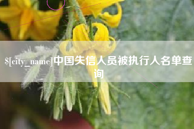 中国失信人员被执行人名单查询