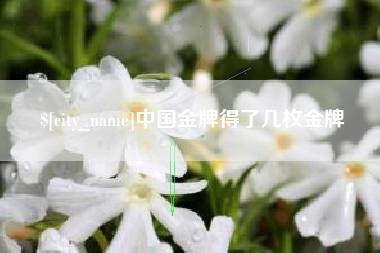 中国金牌得了几枚金牌