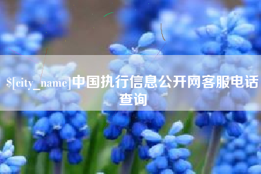 中国执行信息公开网客服电话查询