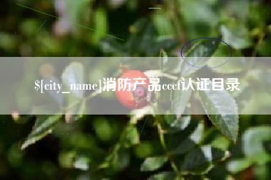 消防产品cccf认证目录