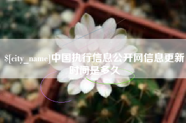 中国执行信息公开网信息更新时间是多久