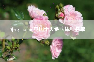 中国十大金牌律师名单