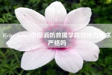 中国消防救援学院对视力要求严格吗