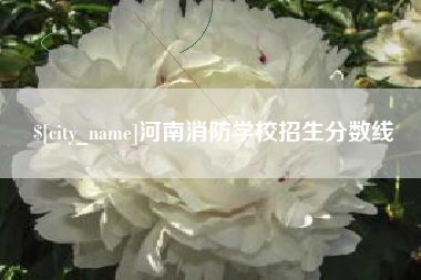 河南消防学校招生分数线