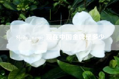 现在中国金牌是多少