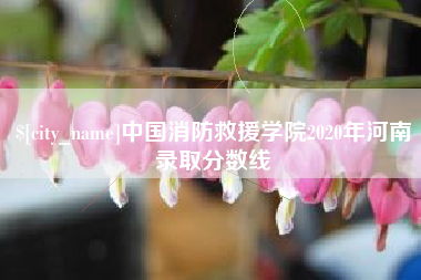 中国消防救援学院2020年河南录取分数线