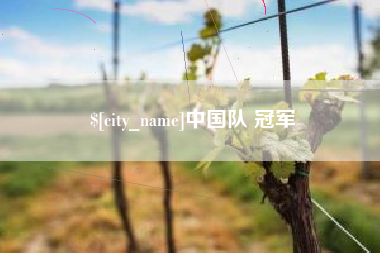 中国队 冠军