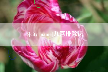 九宫排除法
