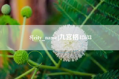 九宫格42633