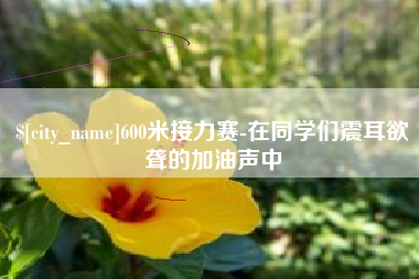 600米接力赛-在同学们震耳欲聋的加油声中