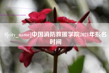 中国消防救援学院2021年报名时间