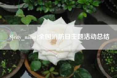 全国消防日主题活动总结