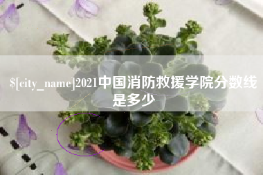 2021中国消防救援学院分数线是多少