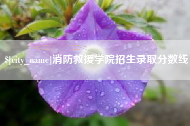 消防救援学院招生录取分数线