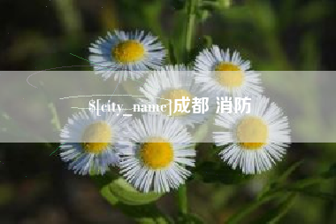 成都 消防