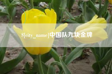 中国队九块金牌