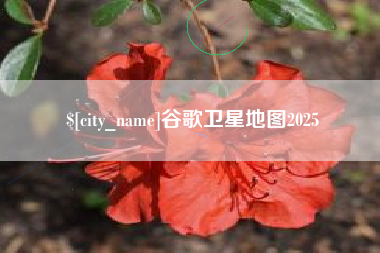 谷歌卫星地图2025
