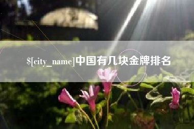 中国有几块金牌排名