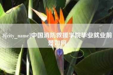 中国消防救援学院毕业就业前景如何