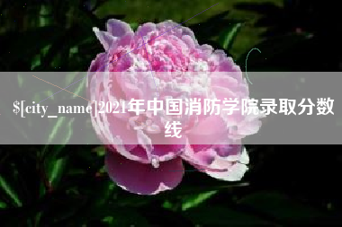 2021年中国消防学院录取分数线