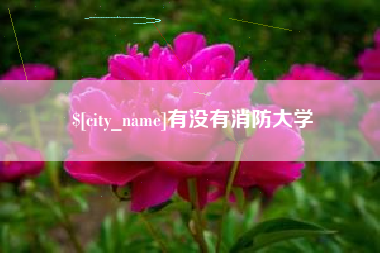 有没有消防大学