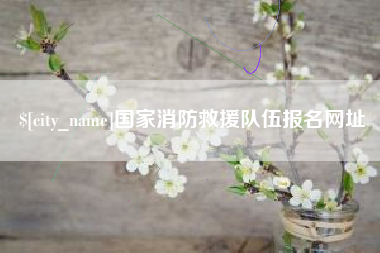 国家消防救援队伍报名网址