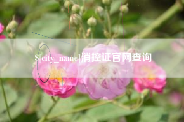 消控证官网查询
