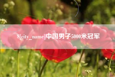 中国男子5000米冠军
