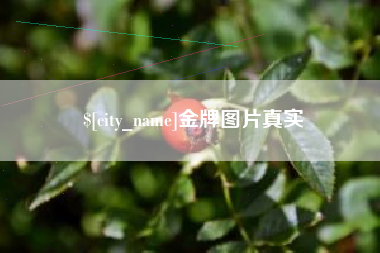 金牌图片真实