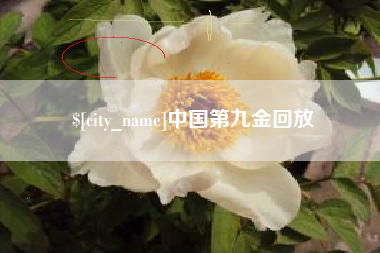中国第九金回放