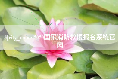 2020国家消防救援报名系统官网