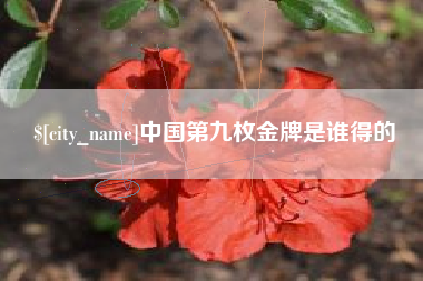 中国第九枚金牌是谁得的