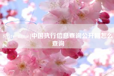 中国执行信息查询公开网怎么查询